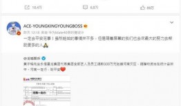 tfs最新版本更新爆料,功能升级与性能优化一览